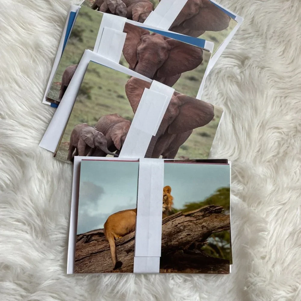 20 Assorted Cards Wild Animal blank inside